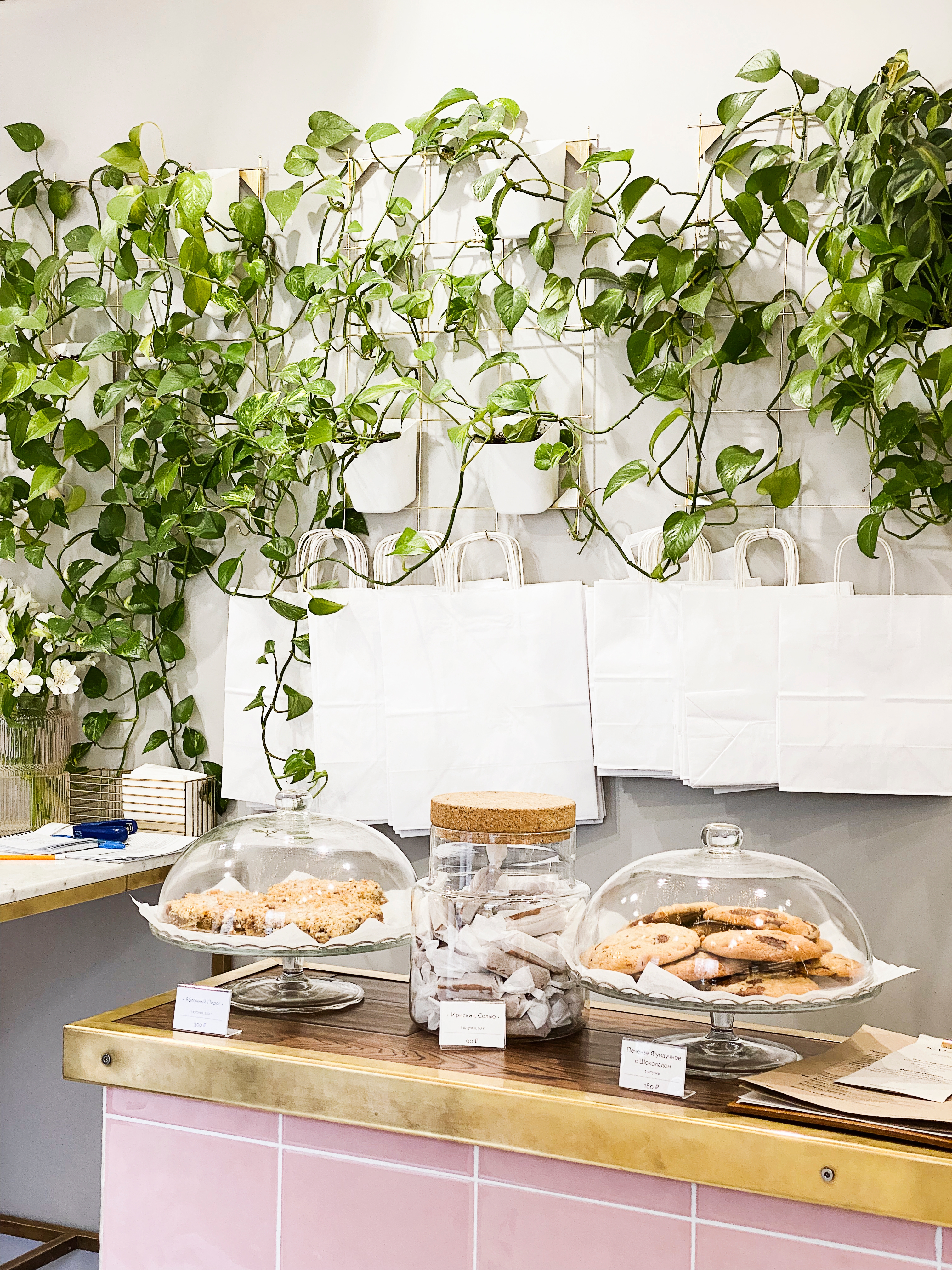 Mikel Mocha Ürünleri Görseli